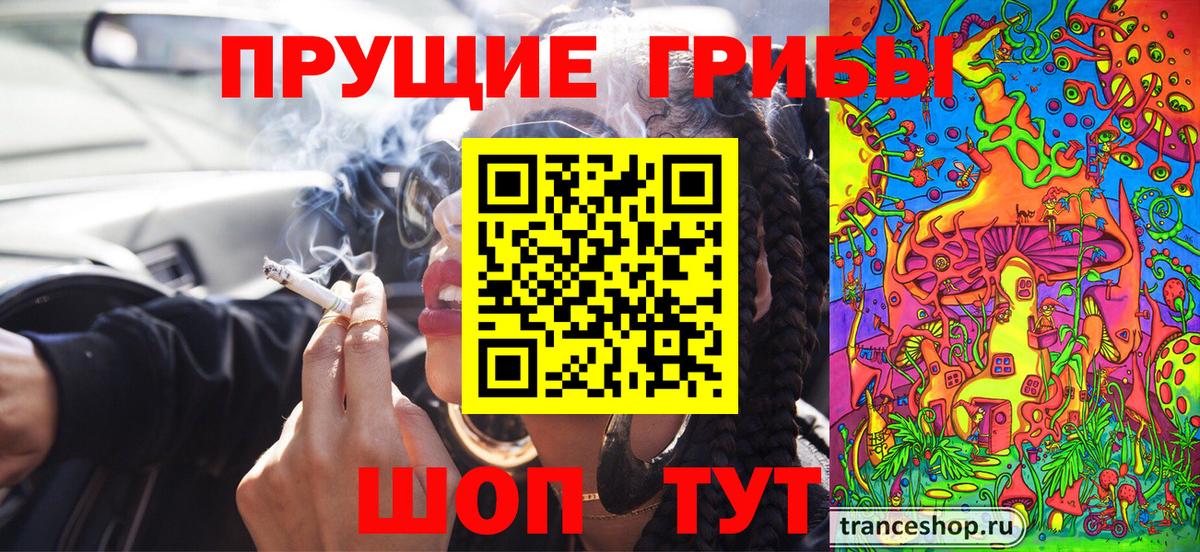 Галлюциногенные грибы Magic Shrooms  купить наркотик  Сухой Лог  Вход с VPN 